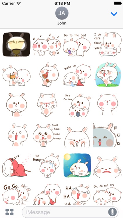 Fluffy Bear and Rabbit