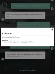 ein tag deutsch in der pflege ipad resimleri 3