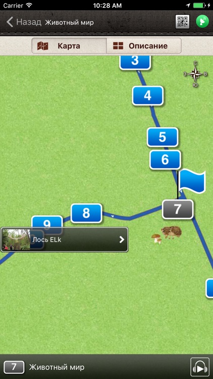 Куршская коса screenshot-3