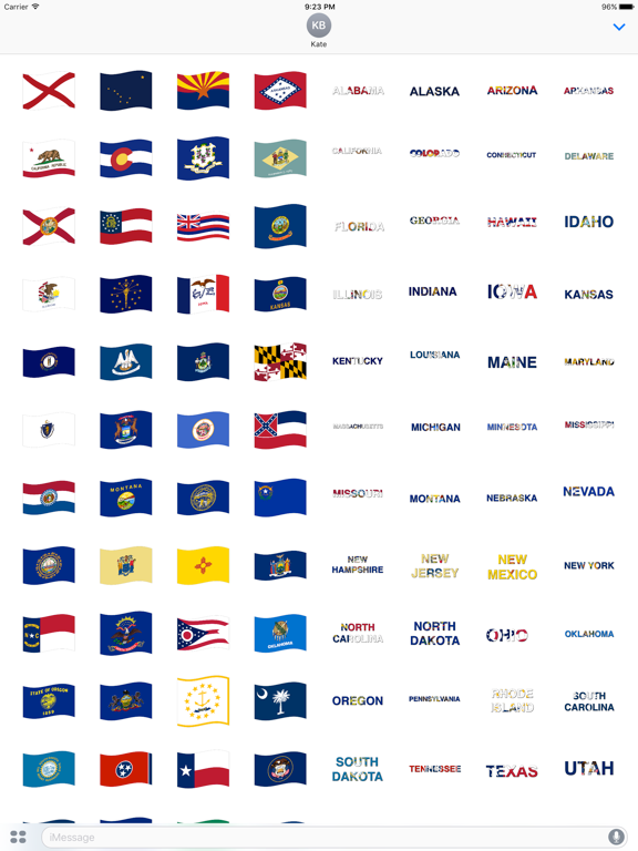 Screenshot #4 pour Flags of the United States