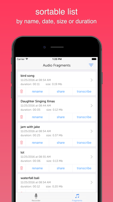 Instant Rec Lite: Audio Recorder & Voice Recordingのおすすめ画像4