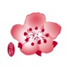 China Airlines App icon
