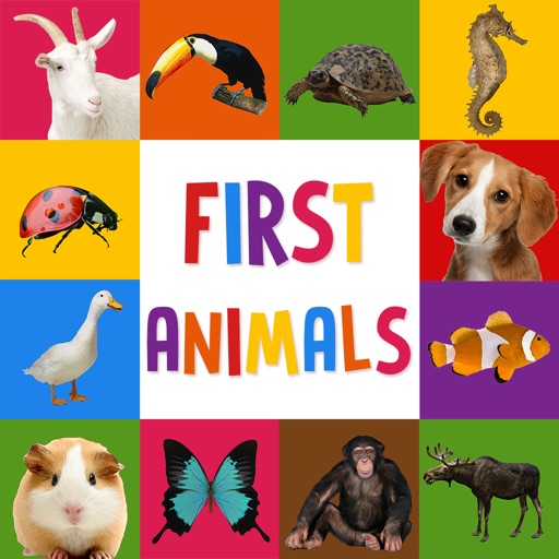 First Words for Baby: Animals iOS App