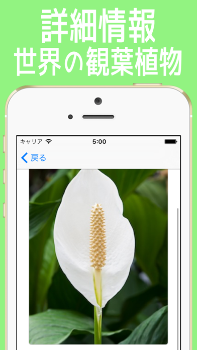 観葉植物図鑑 世界の品種 =62種類=のおすすめ画像2