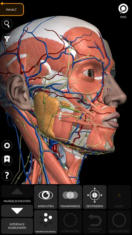 Anatomy 3D Atlas screenshot 9 of 10