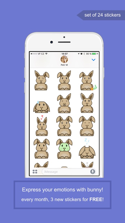 Ben the Bunny