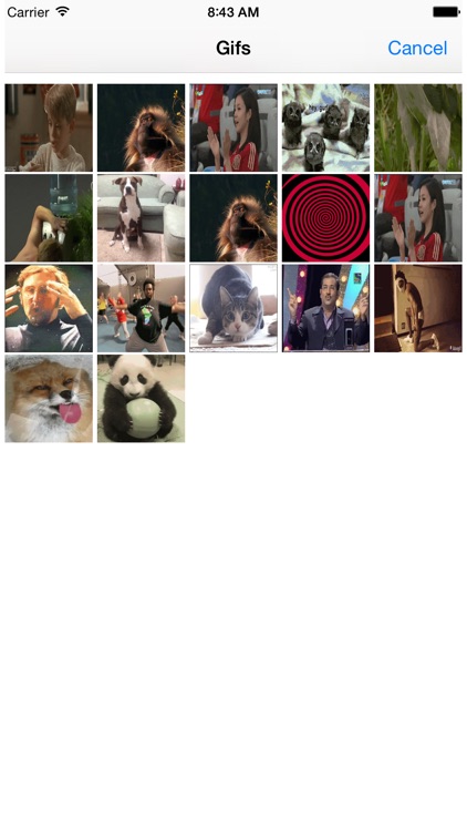 GifVid - GIF to Video Converter screenshot-4