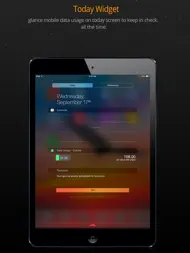 Data Usage Pro ipad bilder 1