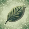 葉っぱのざわめき - 有料新作・人気アプリ iPad