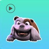 Animal Cute Animated Stickers