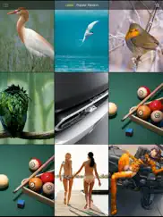wallpapers free... iPad Captures Décran 1