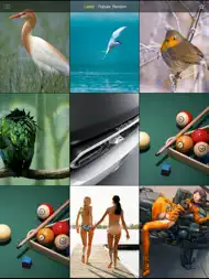 Wallpapers Free... ipad bilder 0