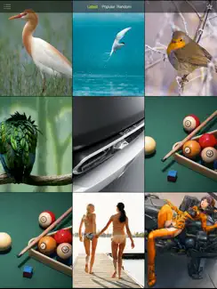 Wallpapers Free... iPad image 1