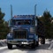Real Truck Simulator Offroad