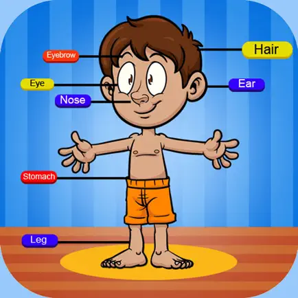 Learn about Body Parts Cheats