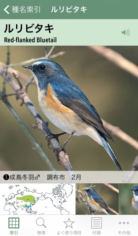 日本の野鳥（山溪ハンディ図鑑）のおすすめ画像1