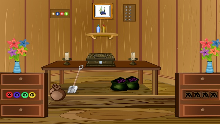 183 Forest Dove Rescue