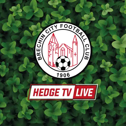 Hedge TV Читы