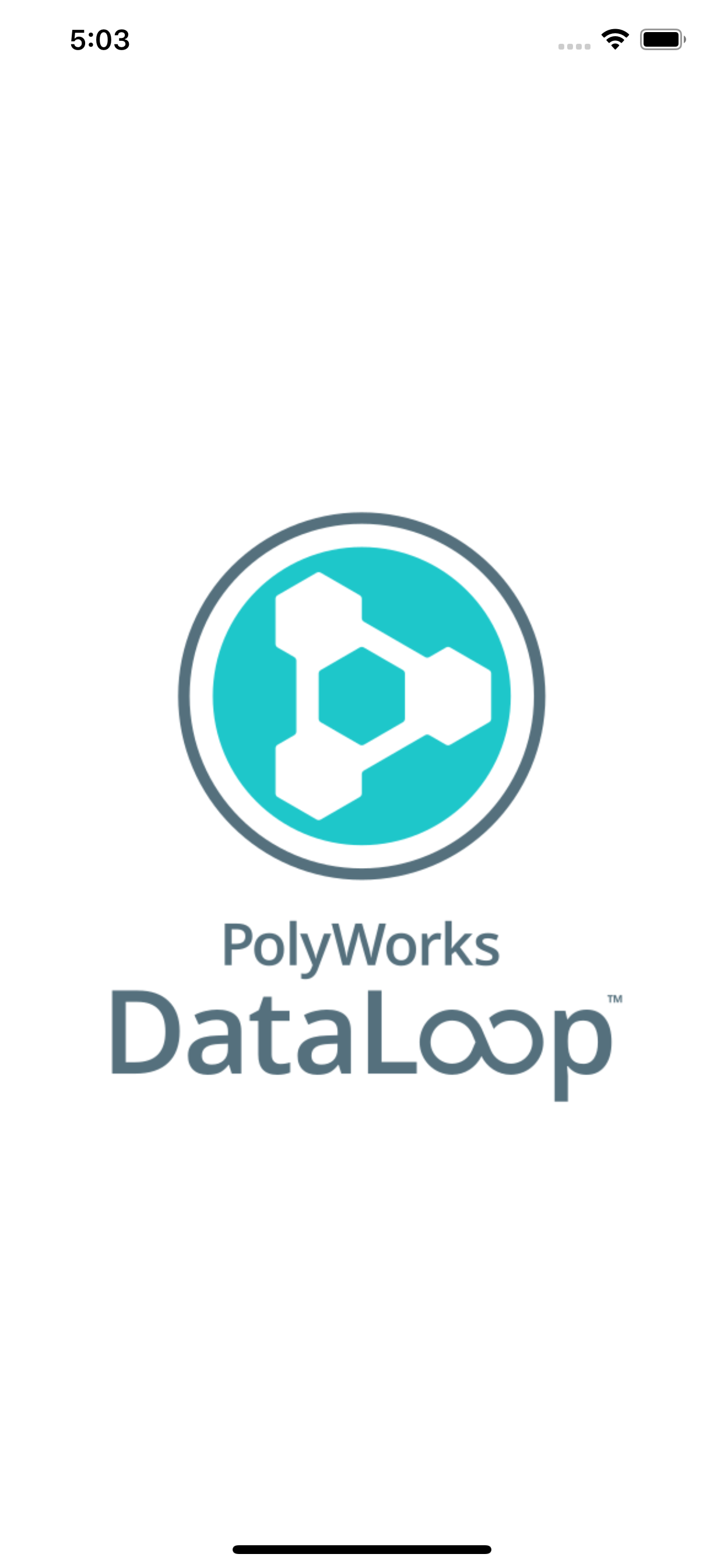 PolyWorks|DataLoop