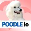 Poodle io (opoly)