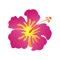 Tasting Kauai – Restaurant Guide