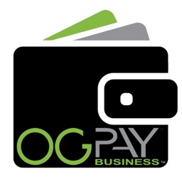 OGPay Business