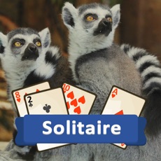 Activities of Solitaire Wild