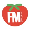 FM Tracks icon