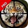 Creepy Animal Hunter 3D