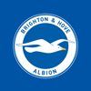 The Albion - Brighton and Hove Albion Football Club