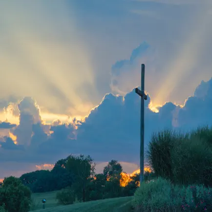 ASV Bible - Saddle Lights Cheats