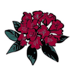 Azalee Restaurang på Möllan