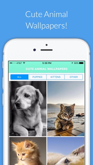 Cute Animal HD Wallpapers - Puppies,Kittens & more(圖1)-速報App