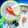Shin Goldfish Scooping icon