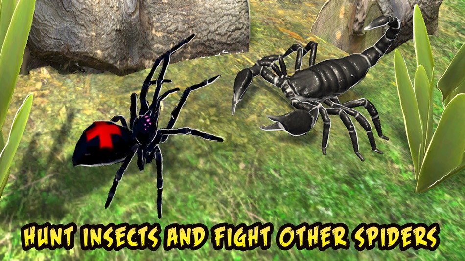 #2. Black Widow Insect Spider Life Simulator (iOS) 由: Tayga Games OOO