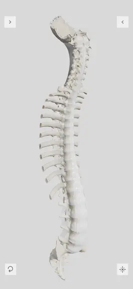 Game screenshot Biomechanics of the Spine Lite apk