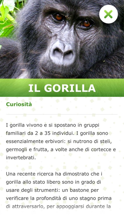 Colleziona La Natura screenshot-3