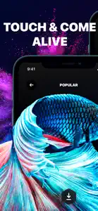 Live Wallpaper & Wallpapers HD screenshot #4 for iPhone