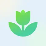 Plant App: Plant Identifier App Problems