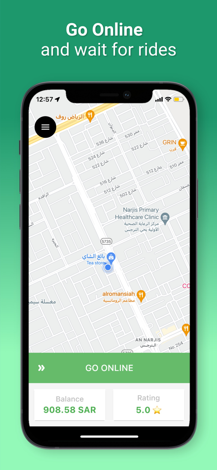 Blink Driver بلينك درايفر