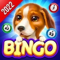 Bingo Dog - Fun Game 2022 apk