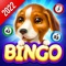 Bingo Dog - Fun Game 2022