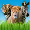 Zoo Sounds - Fun Educational Games for Kids Positive Reviews, comments