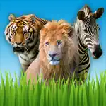 Zoo Sounds - Fun Educational Games for Kids App Contact