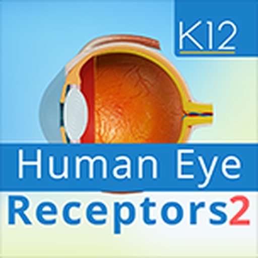 Human Eye Receptors 2 icon