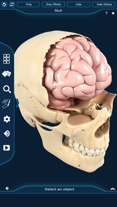My Skull Anatomy screenshot 3