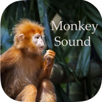 Monkey Sounds - Funny Sounds for kid app icon - Entertainment app for iPhone