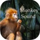 Monkey Sounds - Funny Sounds for kid app icon - Entertainment app for iPhone