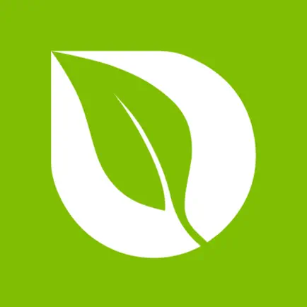 Lifeway Church Читы