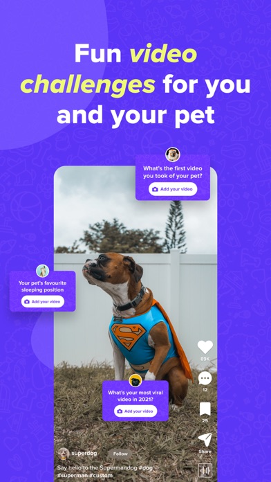 Zoomie - Animal Short Videos Screenshot